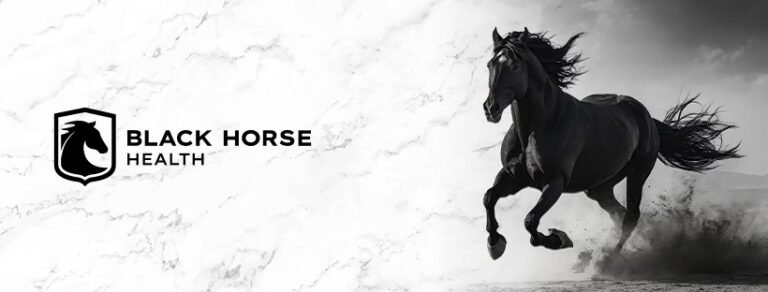 482065162 573809242353499 9167854914595501361 n 768x292